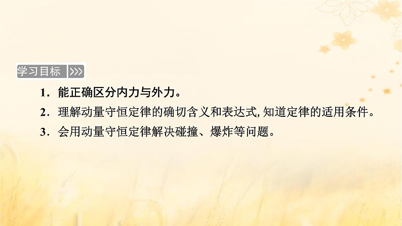 新教材适用2023_2024学年高中物理第1章动量守恒定律3动量守恒定律课件新人教版选择性必修第一册第5页