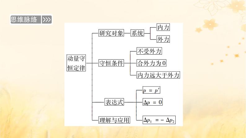 新教材适用2023_2024学年高中物理第1章动量守恒定律3动量守恒定律课件新人教版选择性必修第一册第6页