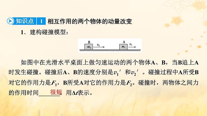 新教材适用2023_2024学年高中物理第1章动量守恒定律3动量守恒定律课件新人教版选择性必修第一册第8页