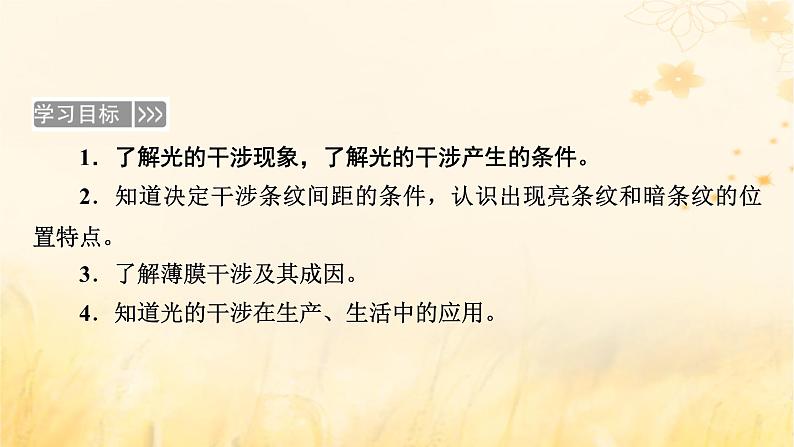 新教材适用2023_2024学年高中物理第4章光3光的干涉课件新人教版选择性必修第一册05