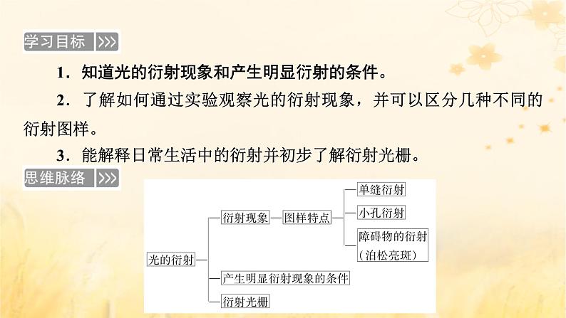 新教材适用2023_2024学年高中物理第4章光5光的衍射课件新人教版选择性必修第一册第5页