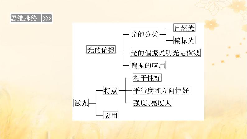 新教材适用2023_2024学年高中物理第4章光6光的偏振激光课件新人教版选择性必修第一册06