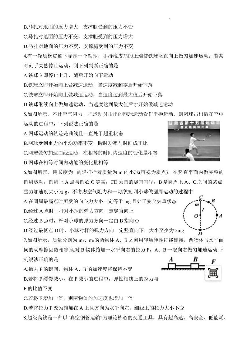 2024凤城一中高三上学期10月测试物理PDF版含答案第2页