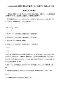 2023-2024学年湖北省武汉市第四十九中学高二上学期10月月考物理试题含解析