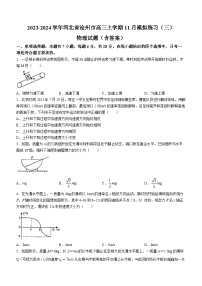 2023-2024学年河北省沧州市高三上学期11月模拟练习（三）物理试题（含答案）