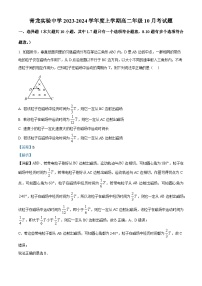 河北省秦皇岛市青龙满族自治县实验中学2023-2024学年高二上学期10月月考物理试题（解析版）