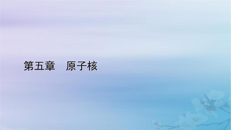 新教材适用2023_2024学年高中物理第5章原子核1原子核的组成课件新人教版选择性必修第三册第1页