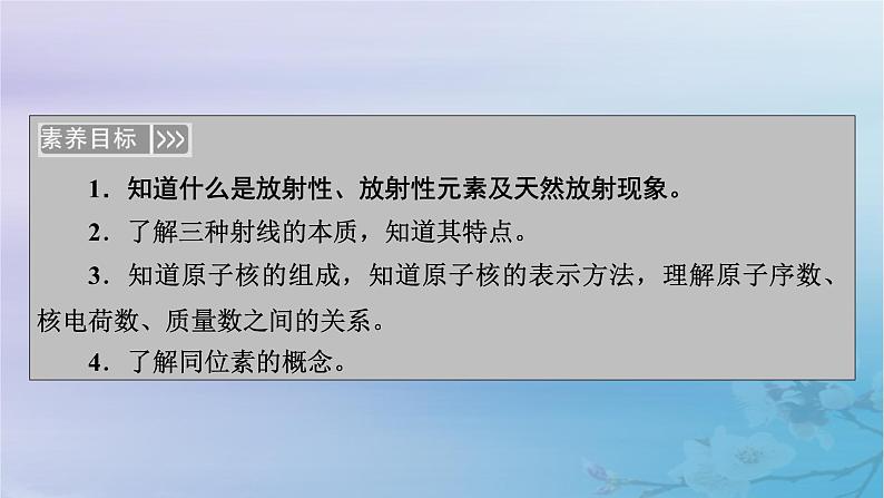 新教材适用2023_2024学年高中物理第5章原子核1原子核的组成课件新人教版选择性必修第三册第6页