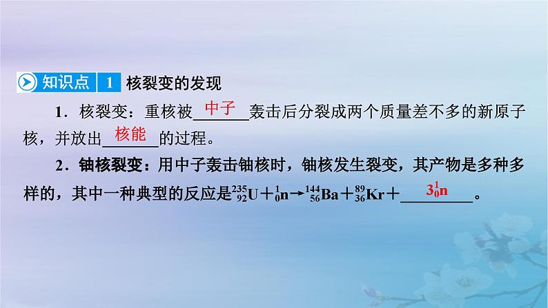 新教材适用2023_2024学年高中物理第5章原子核4核裂变与核聚变5“基本”粒子课件新人教版选择性必修第三册第8页