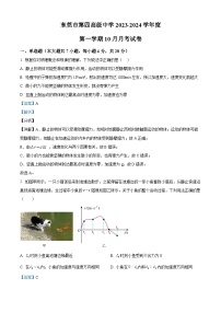 2024届广东省东莞市第四中学高三上学期10月月考物理试题 解析版