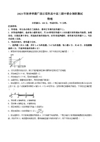 广西壮族自治区玉林市2023-2024学年高二上学期11月期中物理试题