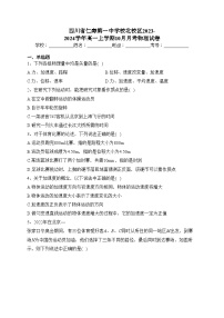 四川省仁寿第一中学校北校区2023-2024学年高一上学期10月月考物理试卷(含答案)