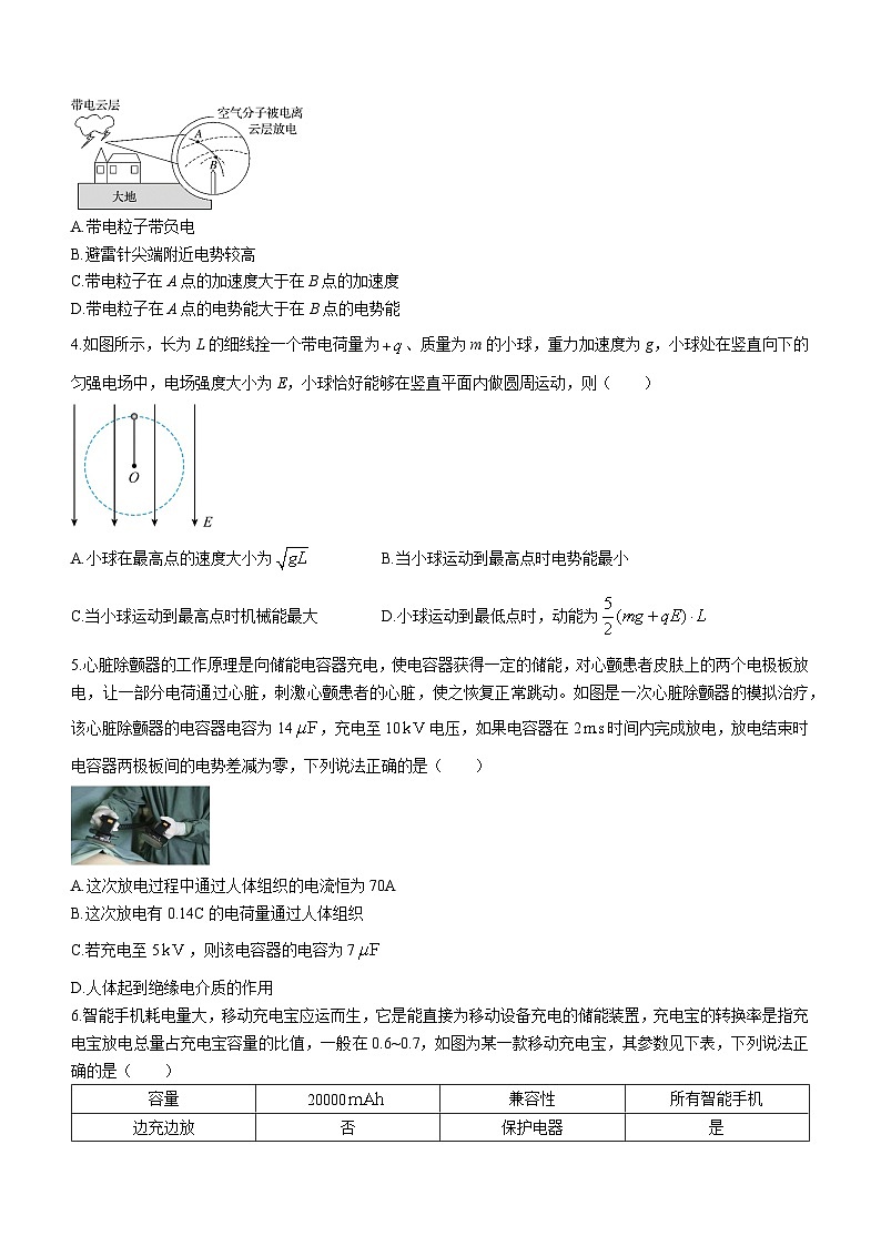 广东省深圳市翠园中学2023-2024学年高二上学期期中物理试题02