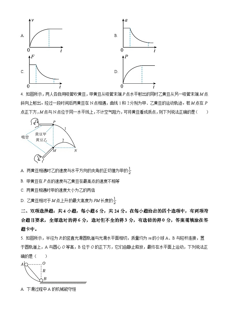 2024厦门双十中学高三上学期10月月考物理试题含答案02