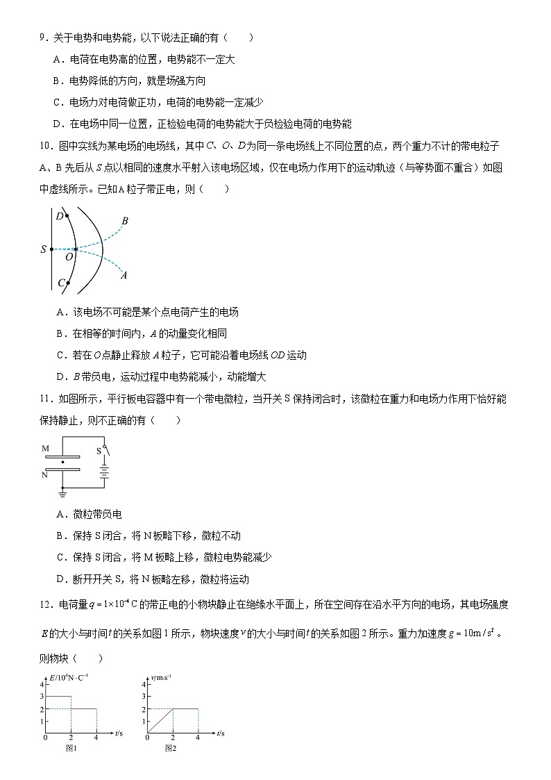 广东省广州市华南师范大学附属中学2023-2024学年高二上学期期中考试物理试题03