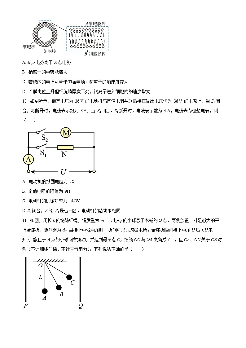 2024浙江省钱塘联盟高二上学期期中联考物理试题含解析03