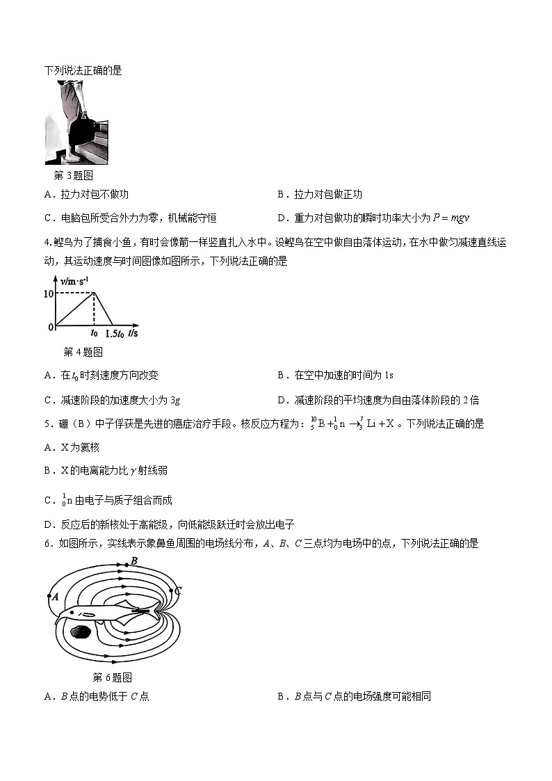 2024届浙江省绍兴市高三上学期11月选考科目诊断性考试物理试题 Word版02