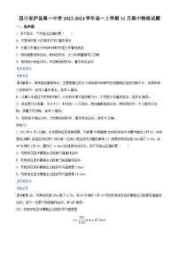 四川省泸州市泸县第一中学2023-2024学年高一上学期期中物理试题（Word版附解析）