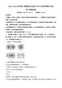 湖北省武汉市重点中学5G联合体2023-2024学年高二上学期期中物理试题（解析版）