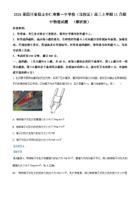 2024届四川省眉山市仁寿第一中学校（北校区）高三上学期11月期中物理试题  （解析版）