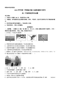 100，浙江省温州市新力量联盟2023-2024学年高一上学期期中考试物理试题(无答案)