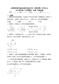 云南省昭通市鲁甸县崇文高级中学、昭通市第一中学2023-2024学年高二上学期期中（B卷）物理试卷(含答案)