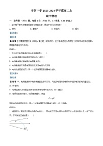 江西省吉安市宁冈中学2023-2024学年高二上学期11月期中物理试题（Word版附解析）