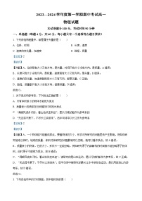 陕西省汉中市城固县第二中学2023-2024学年高一上学期11月期中考试物理试题（解析版）