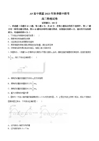 湖北省A9高中联盟2023-2024学年高二上学期期中联考物理试题