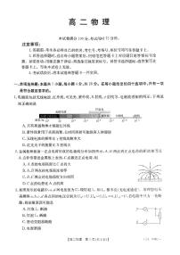 广东省湛江2023-2024学年高二上学期11月期中考试物理试题（含答案）