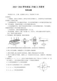 广东省部分名校2023-2024学年高二上学期11月联考物理试题（含答案）