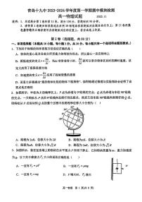 山东省青岛市第十九中学2023-2024学年高一上学期期中考试物理试卷