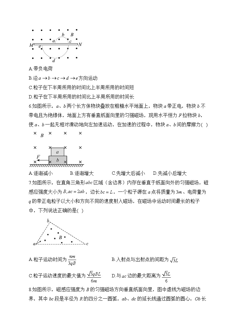 （3）磁场——2024届高考物理一轮复习电磁专项训练第3页