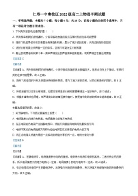 四川省眉山市仁寿第一中学校南校区2023-2024学年高二上学期11月期中物理试题（Word版附解析）