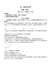 四川省眉山市东坡区2023-2024学年高二上学期11月期中联考物理试题