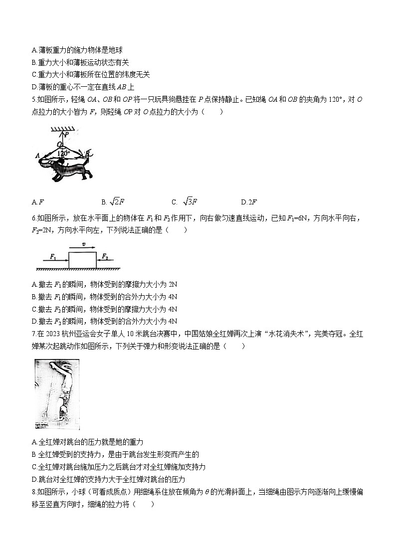 广西南宁市第三中学2023-2024学年高一上学期11月月考物理试卷第2页