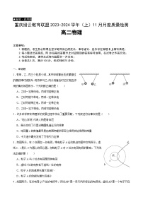 2024重庆市缙云教育联盟高二上学期11月月考试题物理含答案