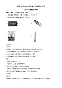 浙江省宁波市镇海中学2023-2024学年高一上学期11月期中考试物理试题（Word版附解析）