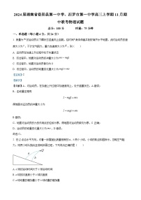 2024届湖南省岳阳县第一中学、汨罗市第一中学高三上学期11月期中联考物理试题 解析版