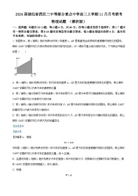 2024届湖北省武汉二中等部分重点中学高三上学期11月月考联考物理试题 （解析版）