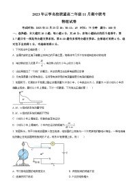 2024湖北省云学名校联盟高二上学期期中联考物理试题含解析