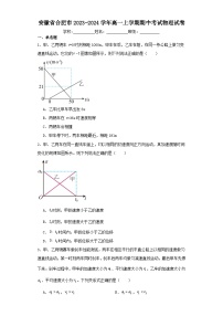 安徽省合肥市2023-2024学年高一上学期期中考试物理试卷（含解析）