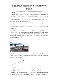 黑龙江省大庆市2023-2024学年高一上学期期中考试物理试卷（含解析）