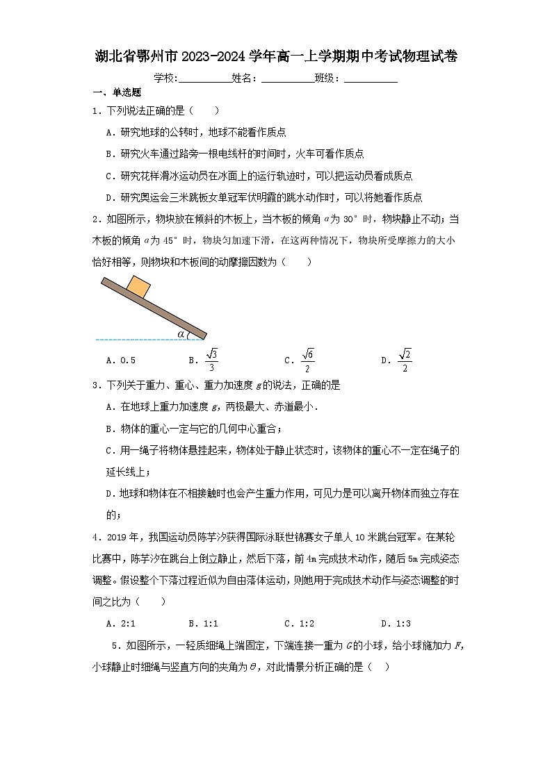 湖北省鄂州市2023-2024学年高一上学期期中考试物理试卷（含解析）01