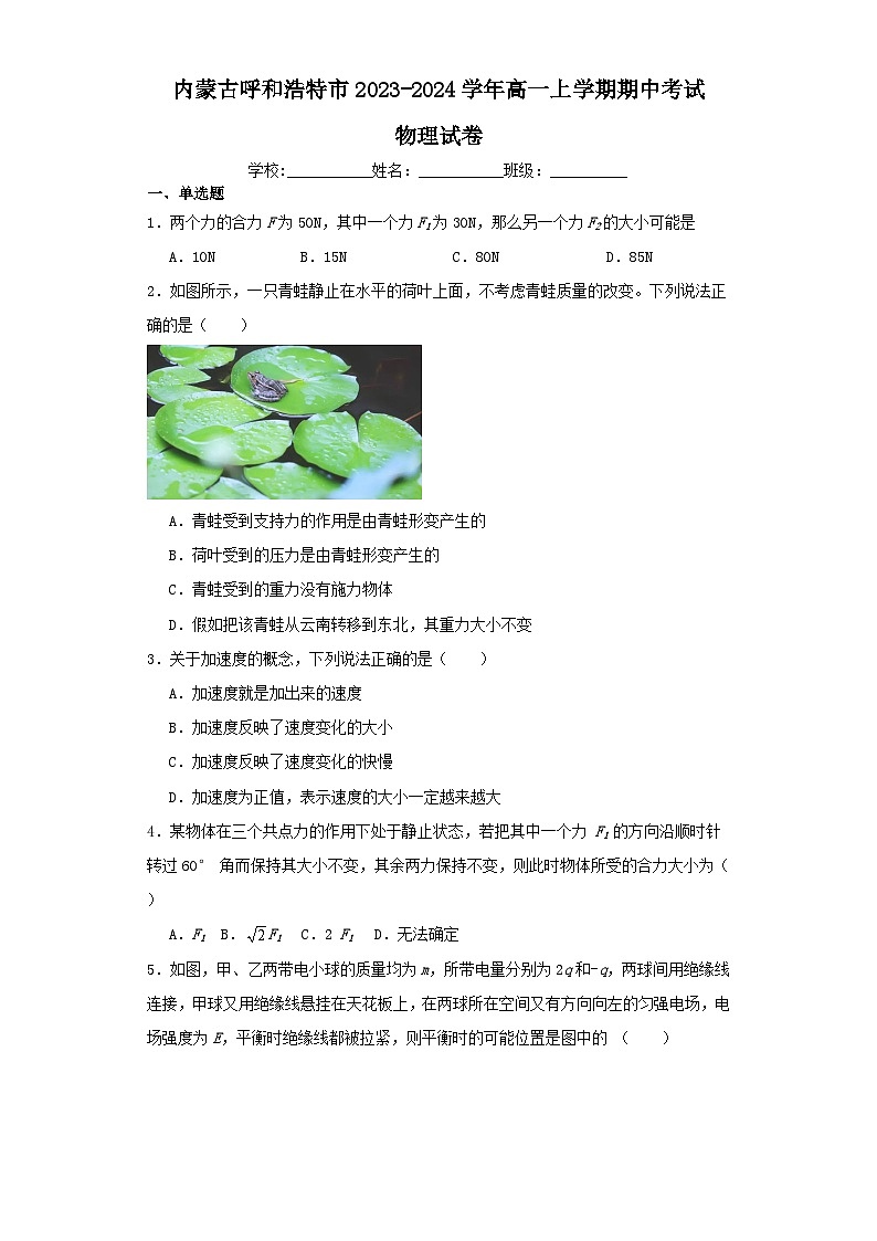 内蒙古呼和浩特市2023-2024学年高一上学期期中考试物理试卷（含解析）01