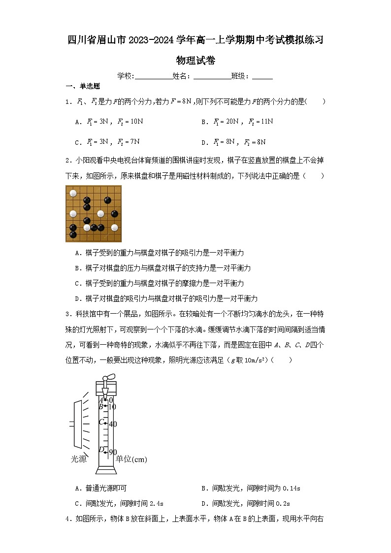 四川省眉山市2023-2024学年高一上学期期中考试模拟练习物理试卷（含解析）01
