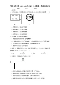 青海省海东市2023-2024学年高一上学期期中考试物理试卷（含解析）