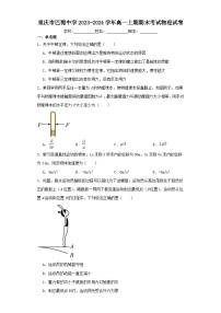 重庆市巴蜀中学2023-2024学年高一上期期末考试物理试卷（含解析）