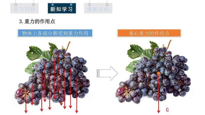 人教版高中物理必修第一册 3.1 课时1 重力与弹力 课件08