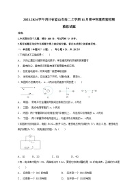 2023-2024学年四川省眉山市高二上册11月期中物理学情检测模拟试题（附答案）